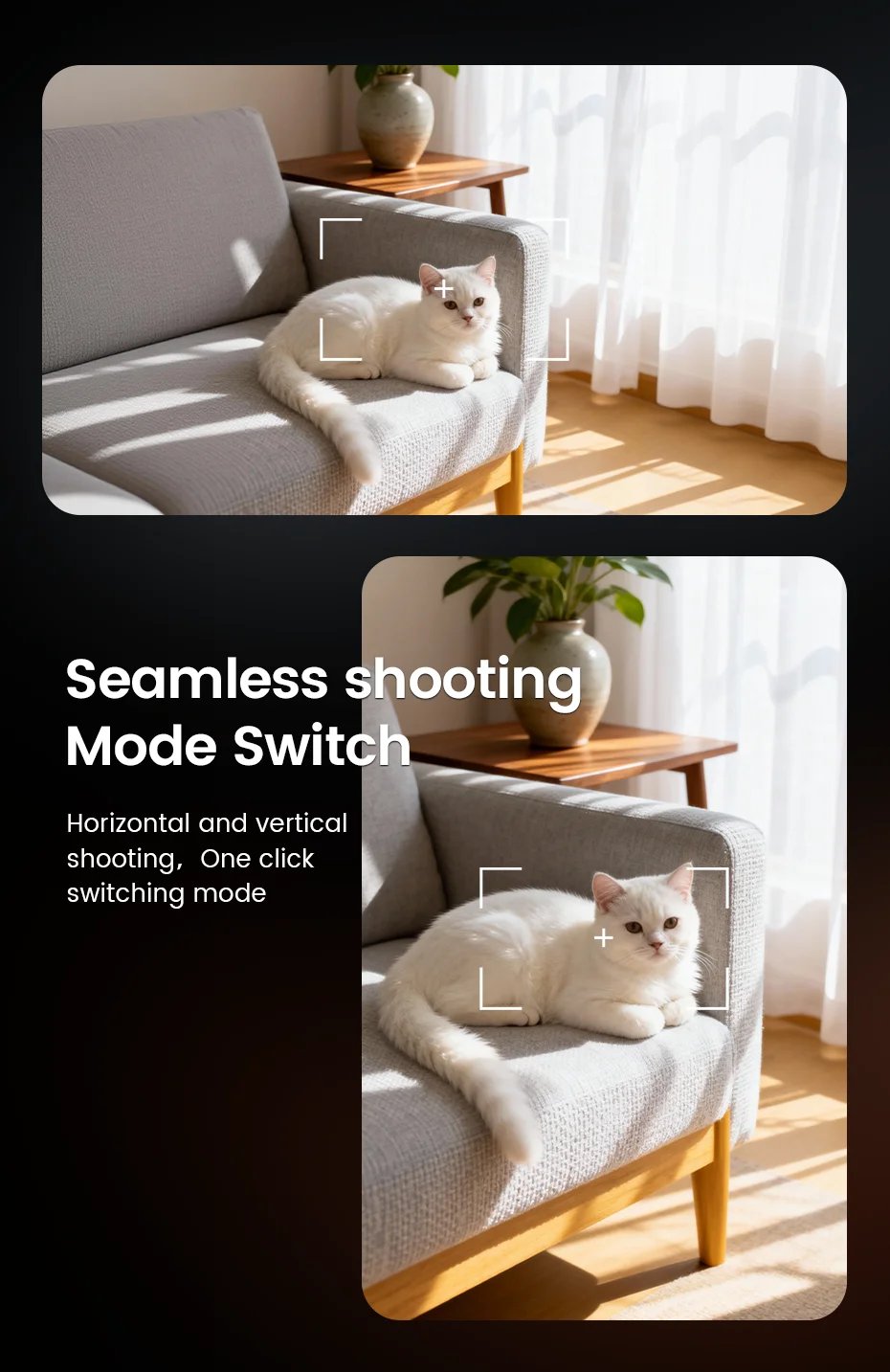 2026 Smart Glasses HD Photo Video OpenAI Record Translation Touch Photochromic Lenses Bluetooth Call Music Multifunction Glasses 2026 Smart Glasses HD Photo Video OpenAI Record Translation Touch Photochromic Lenses Bluetooth Call Music Multifunction Glasses