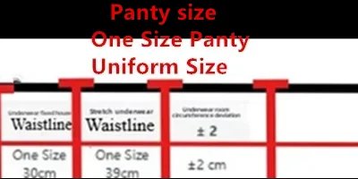 YUQI French Luxury Silk Bra for Small Bust Women, Adjustable Slimming Bralette & Panty Set,Comfort Sexy Sheer Lingerie set bra