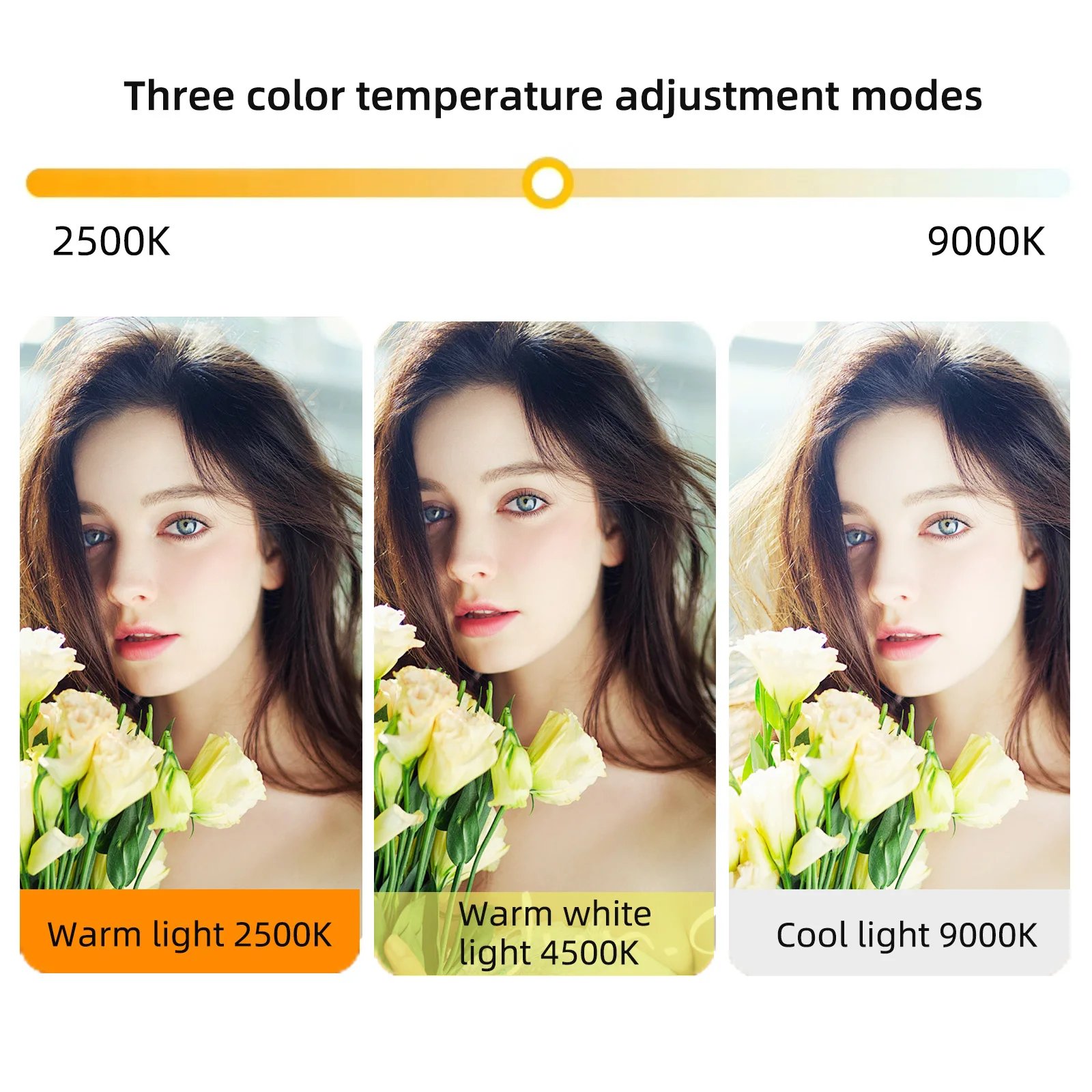 12W 192PCS high brightness LED Photography Live fill light With 3000Mah lithium battery  2500K-9000K Color Temperture Self Light